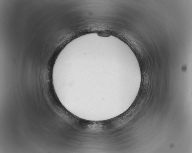 X0000116860362201001121245