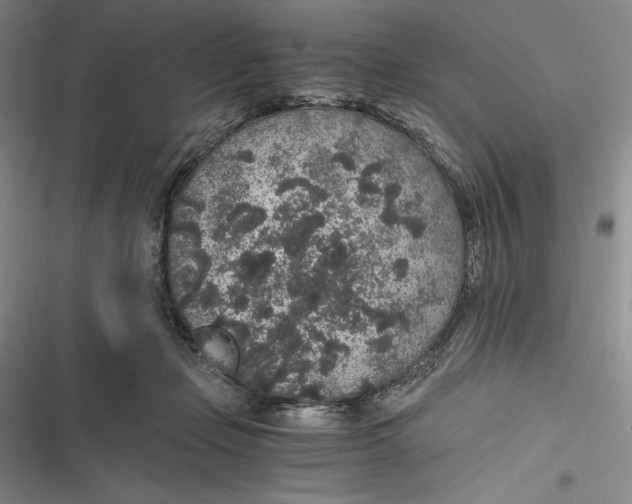 X0000116860365201001121245