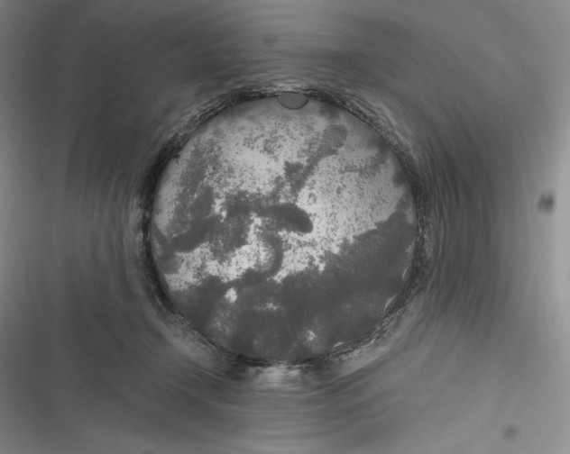 X0000116860366201001121246