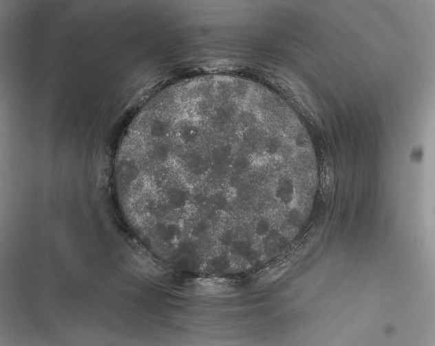 X0000116860367201001121246