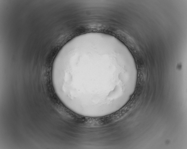 X0000116860369201001121246