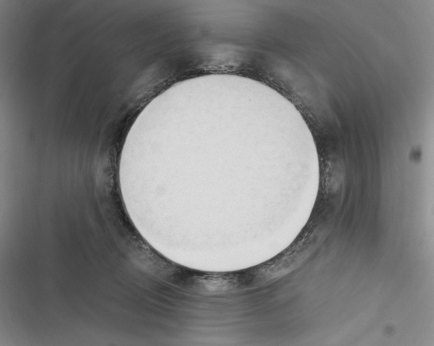 X0000116860370201001121246