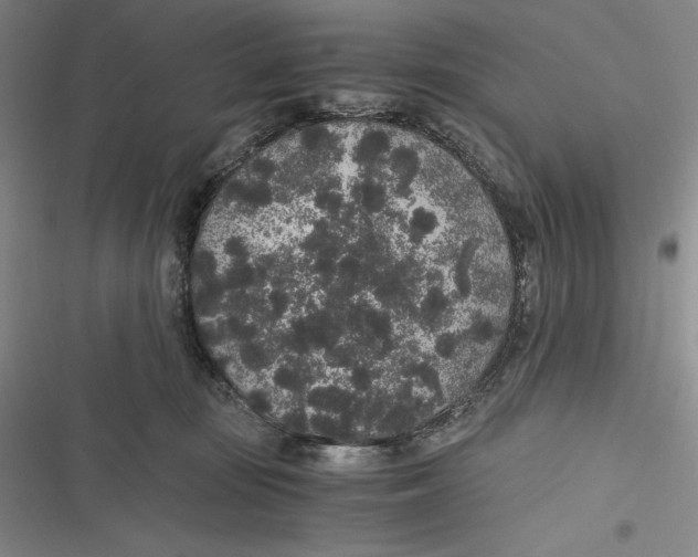 X0000116860371201001121246