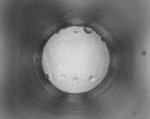 X0000116860373201001121246