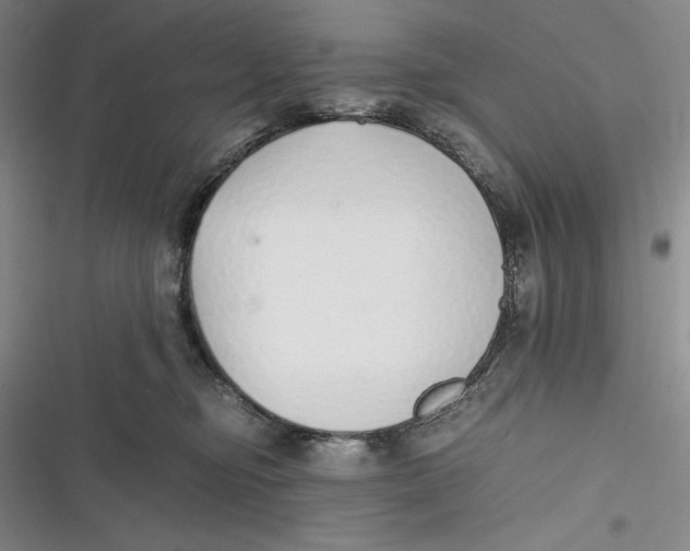 X0000116860374201001121246