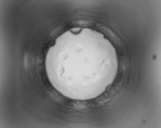 X0000116860377201001121246