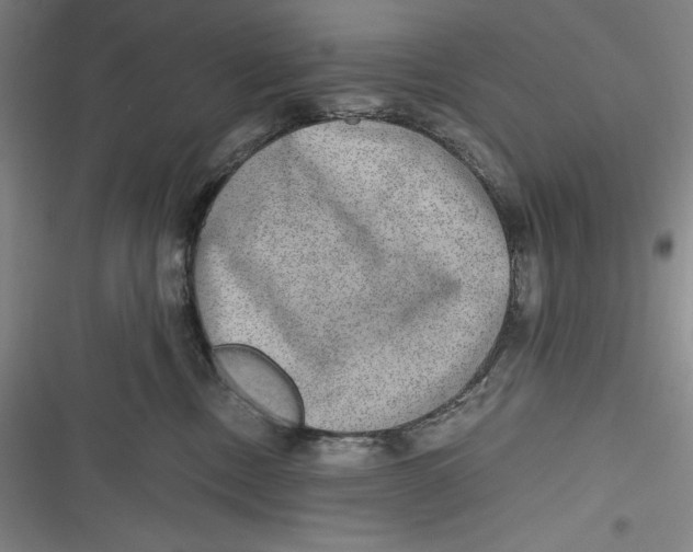 X0000116860378201001121246