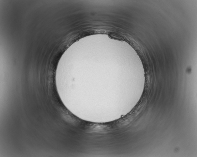 X0000116860379201001121246