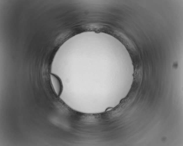 X0000116860381201001121246