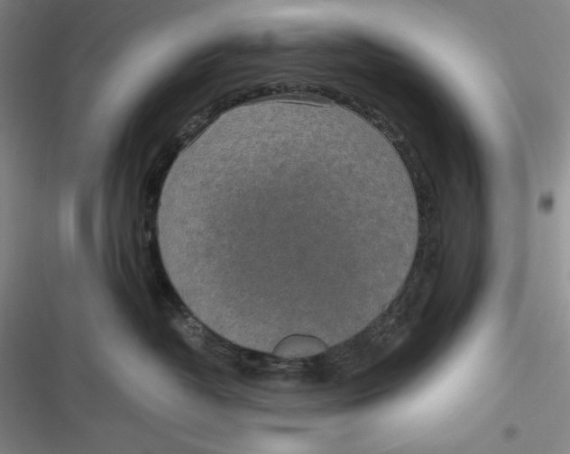 X0000116860382201001121246