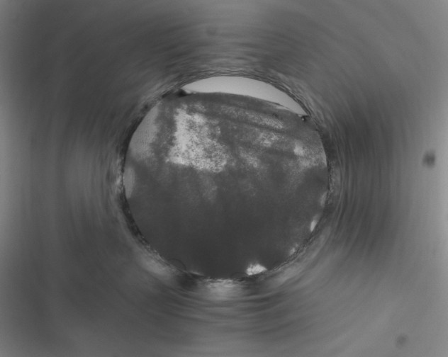 X0000116860383201001121246