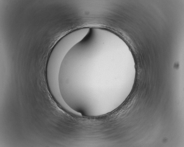 X0000116860385201001121245