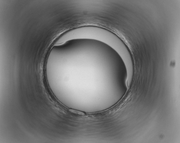 X0000116860386201001121245