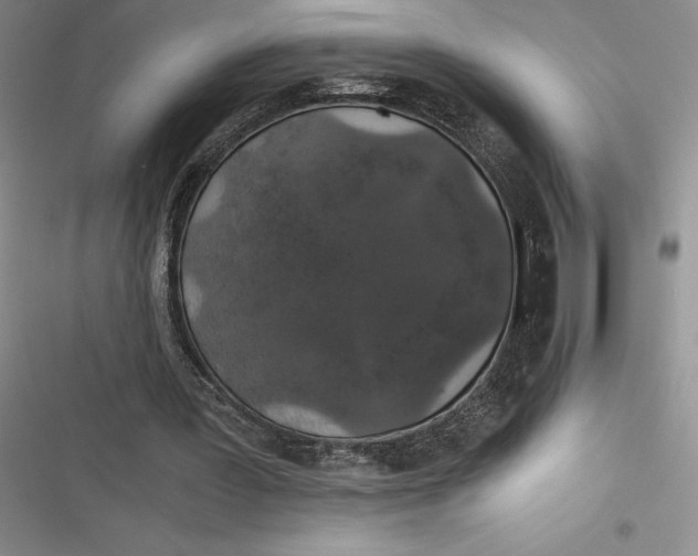 X0000116860387201001121245