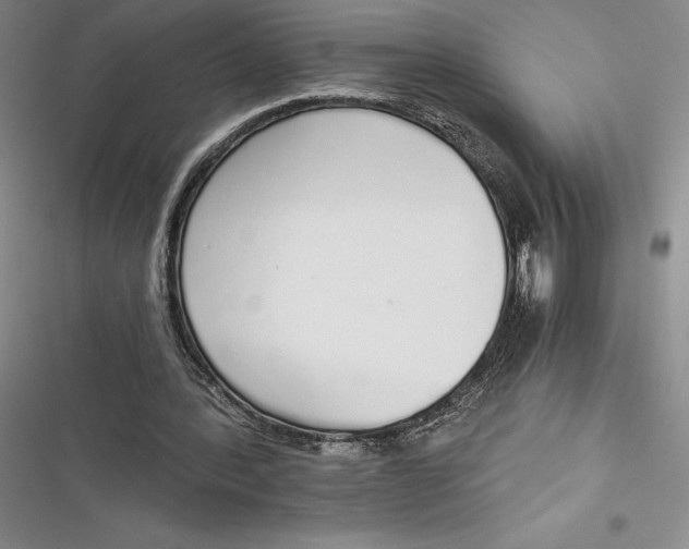 X0000116860388201001121245