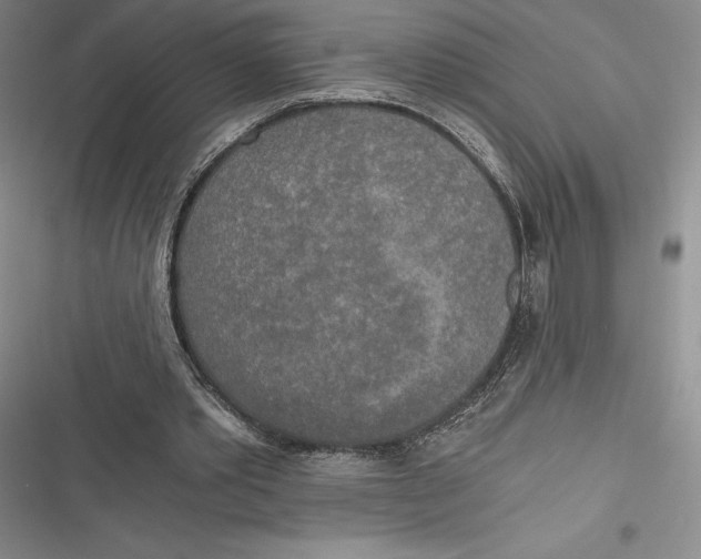 X0000116860389201001121245