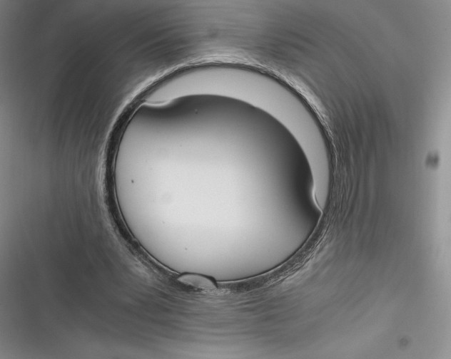 X0000116860391201001121245