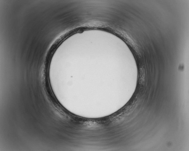 X0000116860392201001121245