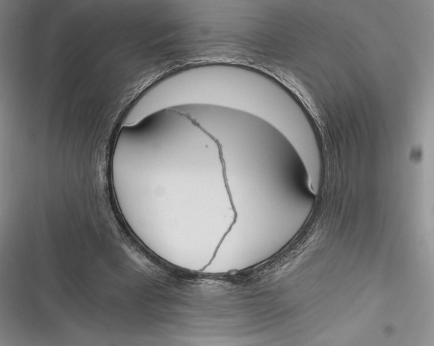 X0000116860393201001121245