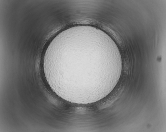 X0000116860394201001121245