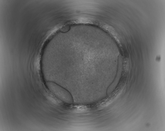 X0000116860395201001121245