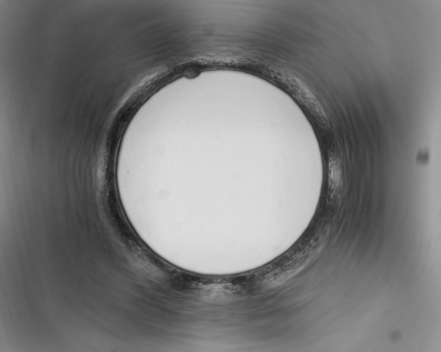 X0000116860396201001121245