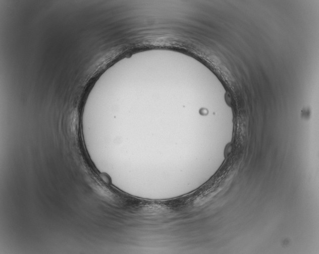 X0000116860397201001121245