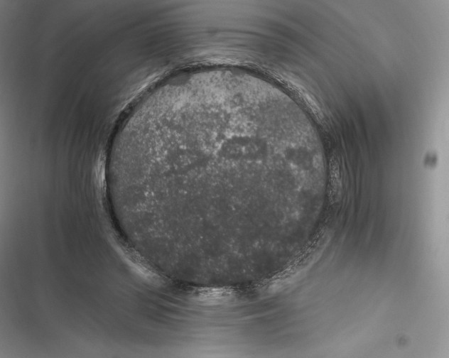 X0000116860398201001121245