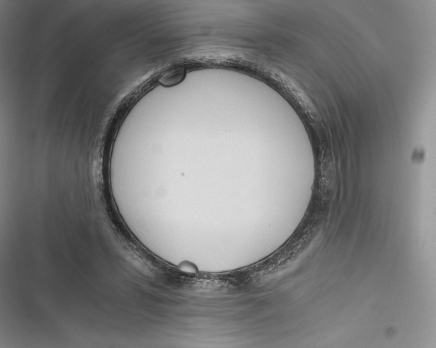 X0000116860399201001121245