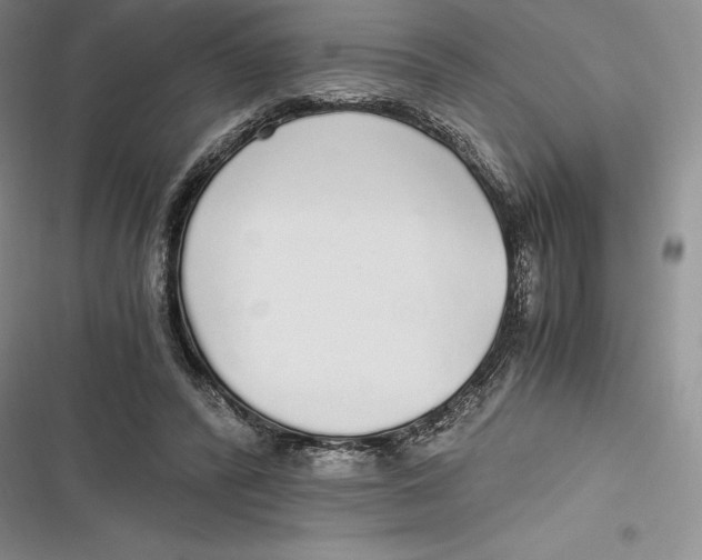 X0000116860400201001121245