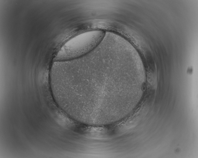 X0000116860401201001121245