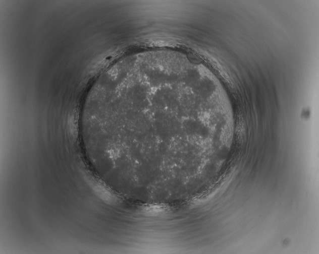 X0000116860402201001121245