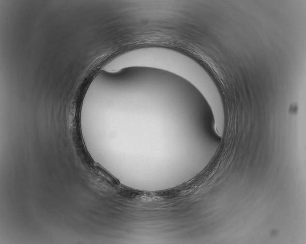 X0000116860403201001121245