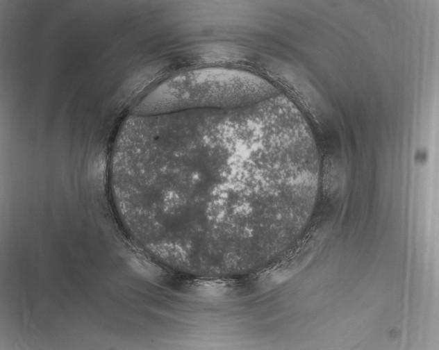 X0000116860405201001121245