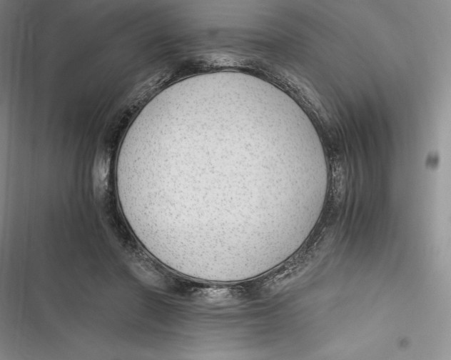 X0000116860406201001121245