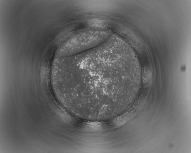 X0000116860409201001121245