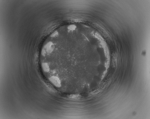 X0000116860410201001121245