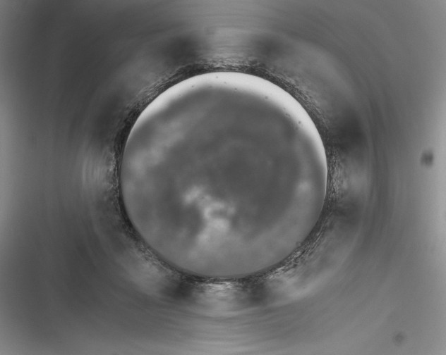 X0000116860411201001121245