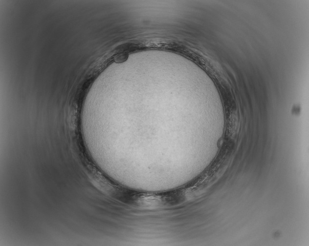 X0000116860413201001121245