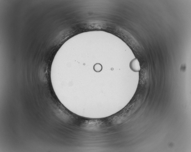 X0000116860414201001121245