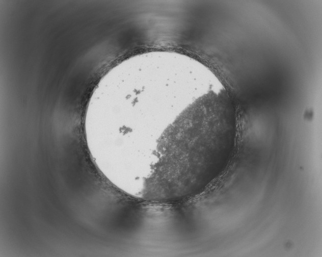 X0000116860415201001121245