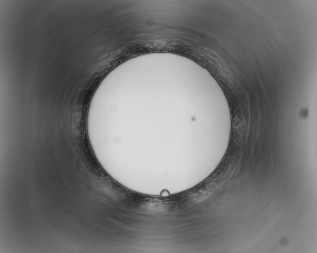 X0000116860416201001121245