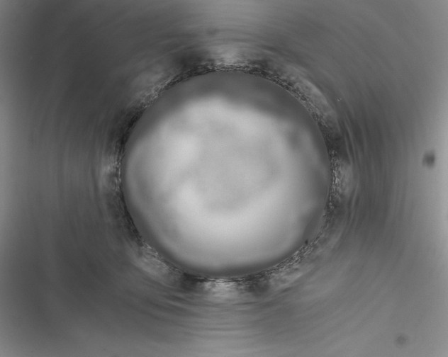 X0000116860419201001121245