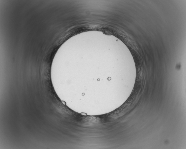 X0000116860421201001121245