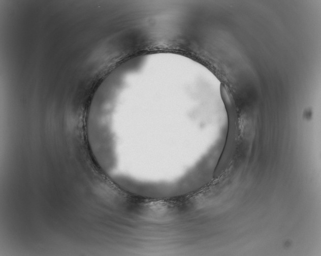 X0000116860423201001121245