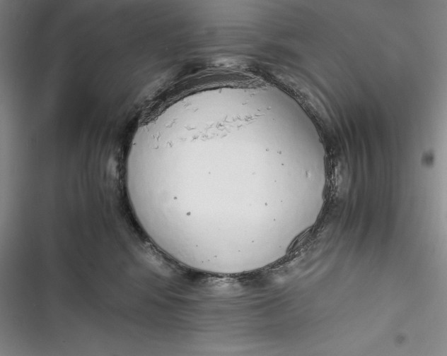 X0000116860424201001121245