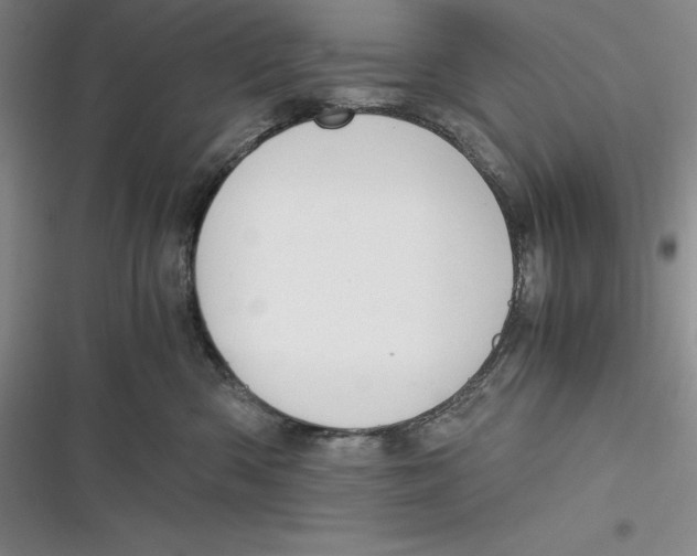 X0000116860426201001121245