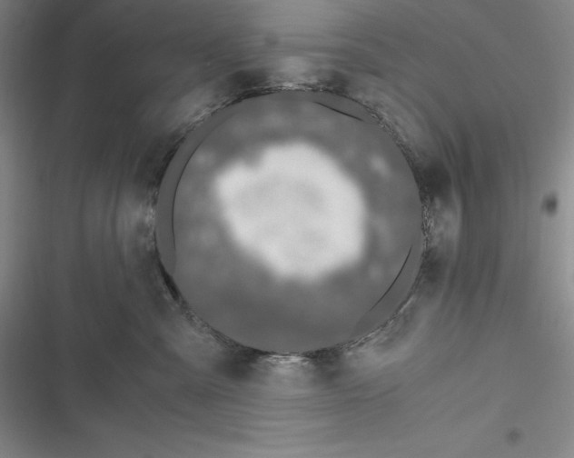 X0000116860427201001121245