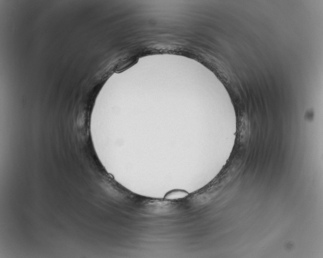 X0000116860428201001121245