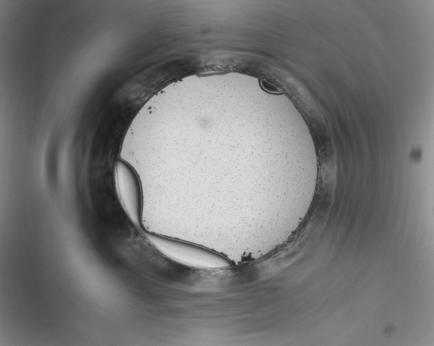 X0000116860429201001121244